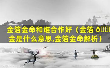 金箔金命和谁合作好（金箔 🍁 金是什么意思,金箔金命解析）